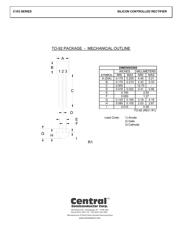 C103Y datasheet pdf 2 page