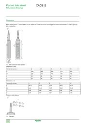 XACB12 datasheet pdf 2 page