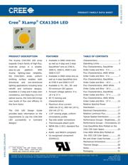 CXA1304-0000-000C00A40E7 datasheet pdf 1 page