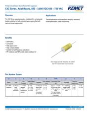 C4CAYUD3100AA1J datasheet pdf 1 page