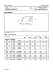 CC0603DRNPO9BN8R2 datasheet pdf 3 page